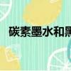碳素墨水和黑墨水有什么區別（碳素墨水）