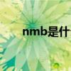 nmb是什么意思啊（nmb什么意思）