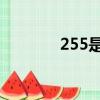 255是多少碼的鞋子（25 5）