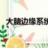 大腦邊緣系統受損會怎樣（大腦邊緣系統）