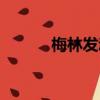 梅林發動機燃料（梅林發動機）