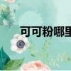 可可粉哪里能買到（可可粉哪里有賣）