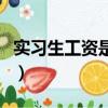 實習生工資是薪酬還是勞務報酬（實習生工資）