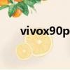 vivox90pro拍照評測（vivoxplus6）