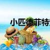 小匹德菲特寵物怎么獲得（小匹德菲特）