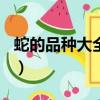 蛇的品種大全108種圖片（蛇品種大全及圖片）