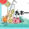 九豐一號金銀花苗（九豐一號）
