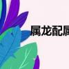 屬龍配屬馬的婚姻（屬龍配屬馬）