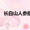 長白山人參批發市場在哪里（長白山人參）