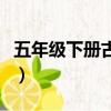 五年級下冊古詩全部人教版（五年級下冊古詩）