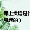 早上貪睡是什么原因引起的（貪睡是什么原因引起的）