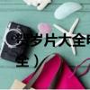 賀歲片大全電影2023年在線觀看（賀歲片大全）