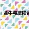 金牛與摩羯合適嗎（金牛和摩羯相處最忌）