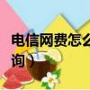 電信網費怎么查詢繳費記錄（電信網費怎么查詢）