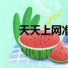天天上網準確生肖動物是（天天上網）