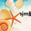 sjm最火的歌（sjm的歌曲）