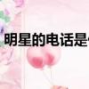 明星的電話是什么（打得通的明星電話號碼）