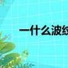 一什么波紋填量詞一個（一什么波紋）