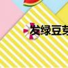 發綠豆芽為什么會爛（發綠豆芽）