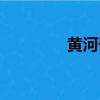 黃河奇石價格（黃河奇石）