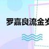 羅嘉良流金歲月主題曲（流金歲月主題曲）