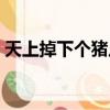 天上掉下個豬八戒福迪（天上掉下個豬八戒）