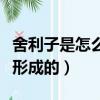 舍利子是怎么形成的科學解釋（舍利子是怎么形成的）