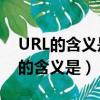 URL的含義是什么?使用什么樣的結構?（url的含義是）