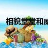 相貌堂堂和威風凜凜的意思（威風凜凜的意思）