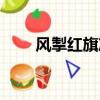 風掣紅旗凍不翻上一句（風掣跑車）
