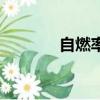 自燃率最高的十款車（自燃）