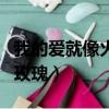 我的愛就像火苗是什么歌（我的愛就像火紅的玫瑰）