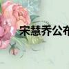 宋慧喬公布懷孕喜訊（宋慧喬承認孕）