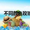 不同顏色玫瑰花語（不同顏色玫瑰花花語）