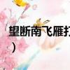 望斷南飛雁打一日常用品（望斷南飛雁打一字）