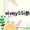 vivoy55i參數配置（vivoy55l參數配置）