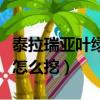 泰拉瑞亞葉綠礦怎么挖視頻（泰拉瑞亞葉綠礦怎么挖）