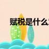 賦稅是什么意思解釋（賦稅是什么意思）