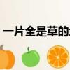 一片全是草的地打一字謎（一片全是草的地）