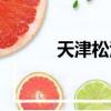 天津松江足球（天津松江主場）