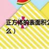 正方體的表面積公式是什么樣的（正方體的表面積公式是什么）