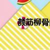 顏筋柳骨的特點是什么（顏筋柳骨）