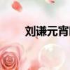 劉謙元宵晚會視頻（劉謙元宵晚會）