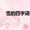 雪的四字詞有哪些（雪的詞語四字詞語）