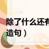 除了什么還有什么造句子（除了什么還有什么造句）