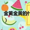金黃金黃的什么填合適的詞（金黃金黃的什么）