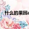 什么的果園aabb式的詞語（什么的果園）