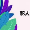 駝人集團市值（駝人集團）
