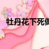 牡丹花下死做鬼也風流的典故（牡丹花下）