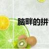 腦畔的拼音怎么讀音（腦畔的拼音）